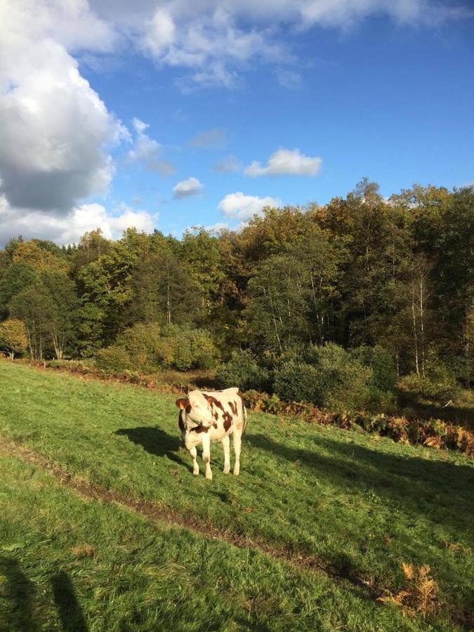 Home Sweet Home Ardennais Waimes Zewnętrze zdjęcie